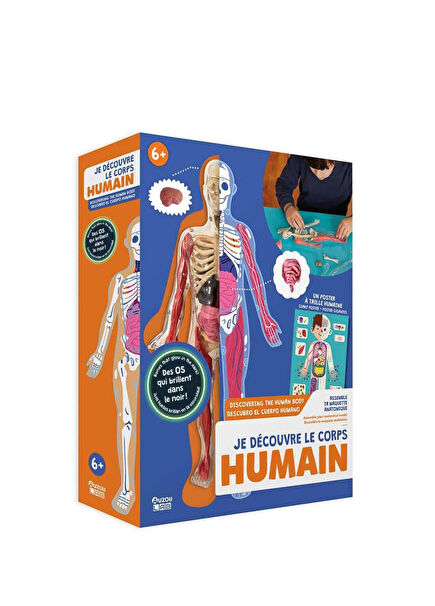 İnsan Vücudunu Keşfediyorum Poster Model ve Yabancı Dil Kitap