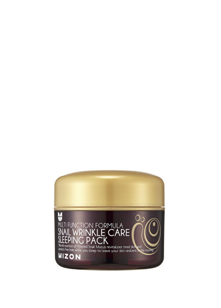 Snail Wrinkle Care Sleeping Pack Salyangoz Özlü Yaşlanma Karşıtı Gece Maskesi 80 ml