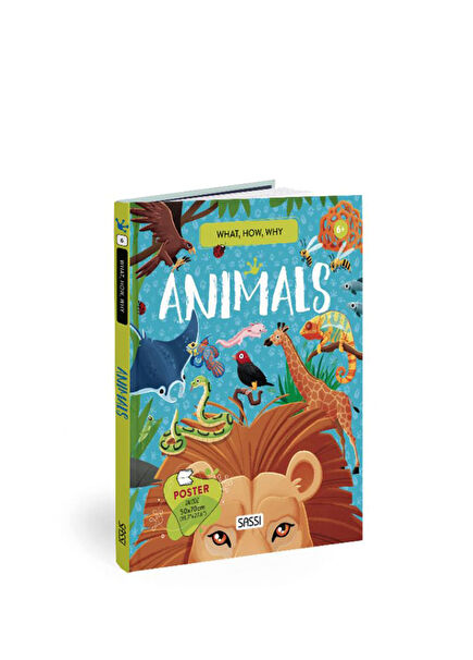What How Why Animals Children's Foreign Language Book