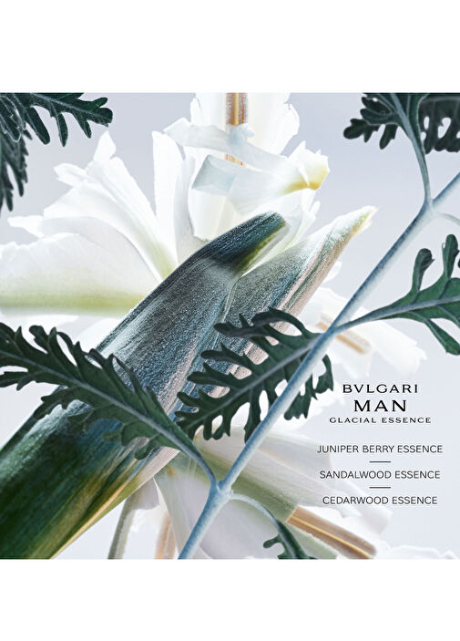 Bvlgari - Man Glacial Essence Edp 100 ml -