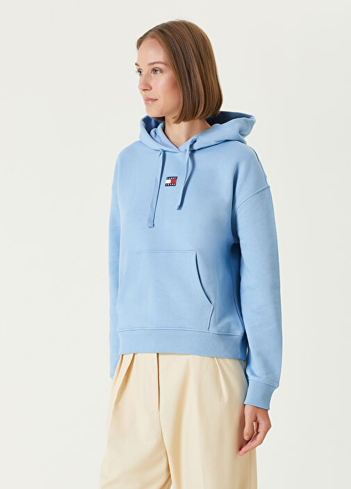 Sweat tommy hilfiger logo hoodie online