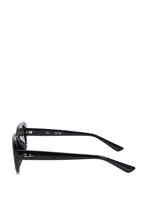 Ray-Ban Siyah Kadın RB4421D Siyah Unisex Güneş Gözlüğü 1724946
