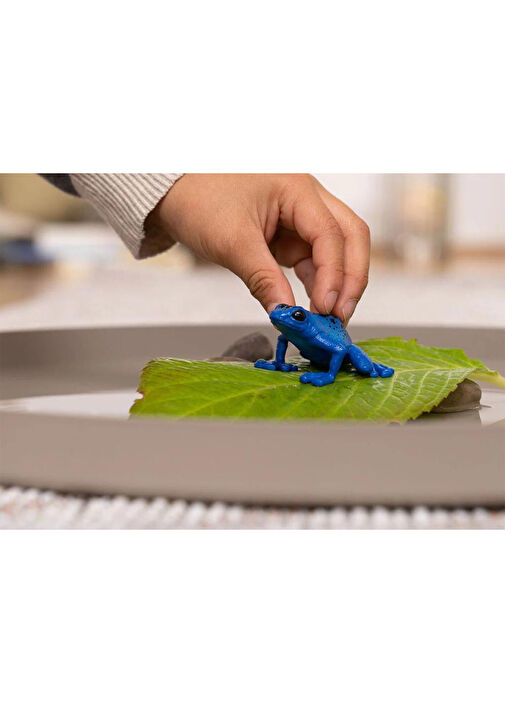 Schleich - Zehirli Dart Kurbağası Hayvan Figür Oyuncak - Çok Renkli
