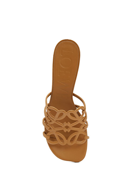Petal Anagram Camel Kadın Deri Terlik - Görsel 5