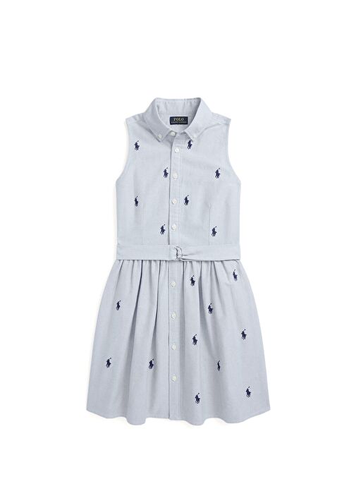 Ralph lauren embroidered dress best sale