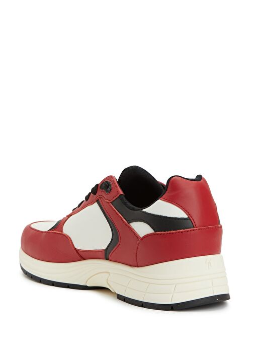 Beymen Reborn Çok Renkli Beymen Reborn Giuseppe Zanotti Erkek Sneakers