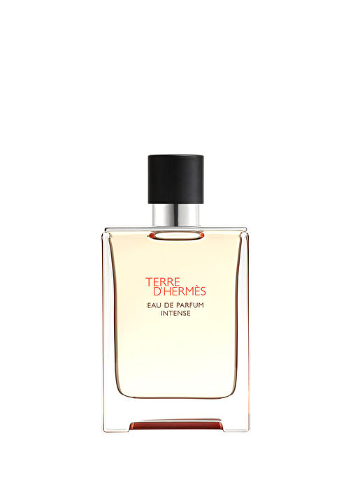Hermès - Terre d'Hermès Eau de Parfum Intense 100 ml -