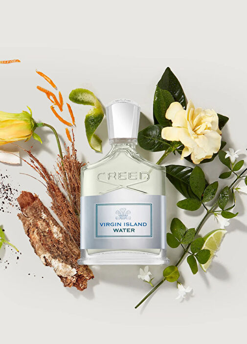 Creed - Millesime Virgin Island Water EDP 100 ml Parfüm -