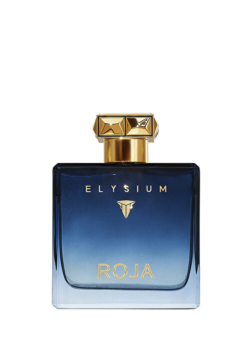 Roja Parfums - Elysium Pour Homme EDP Erkek 100 ml Parfüm -
