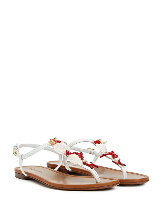 Beyaz İstiridye Detaylı Kadın Deri Sandalet - Görsel 3