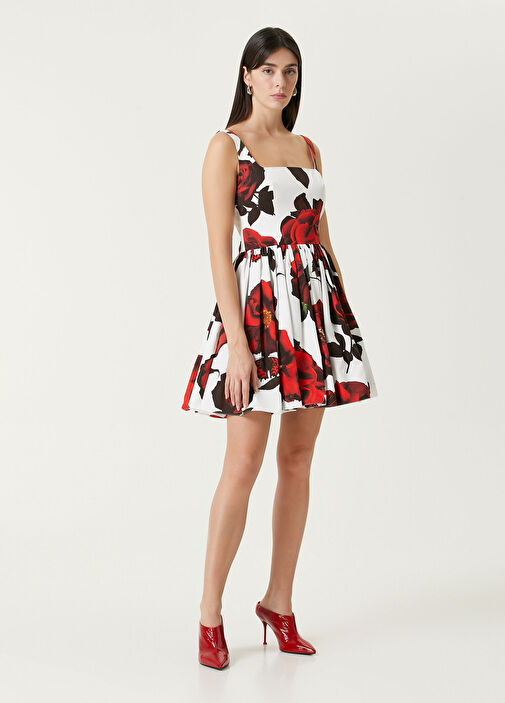 Alexander McQueen - Red And White Rose Print Mini Dress