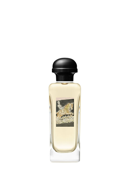 香水(女性用) HERMES AMAZONE EAU DE TOILETTE 200ml Hermès - Amazone Eau de toilette 100ml -