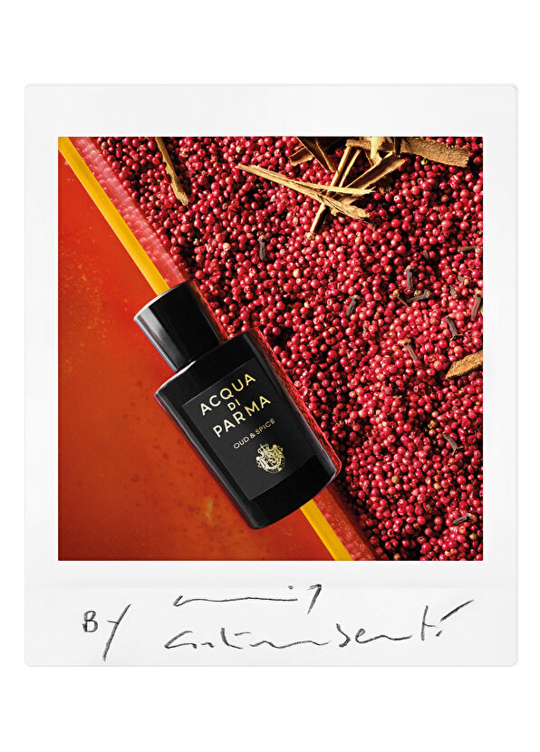 Acqua di Parma Sıgrnature Oud&Spıce Edp 100 ml - 3