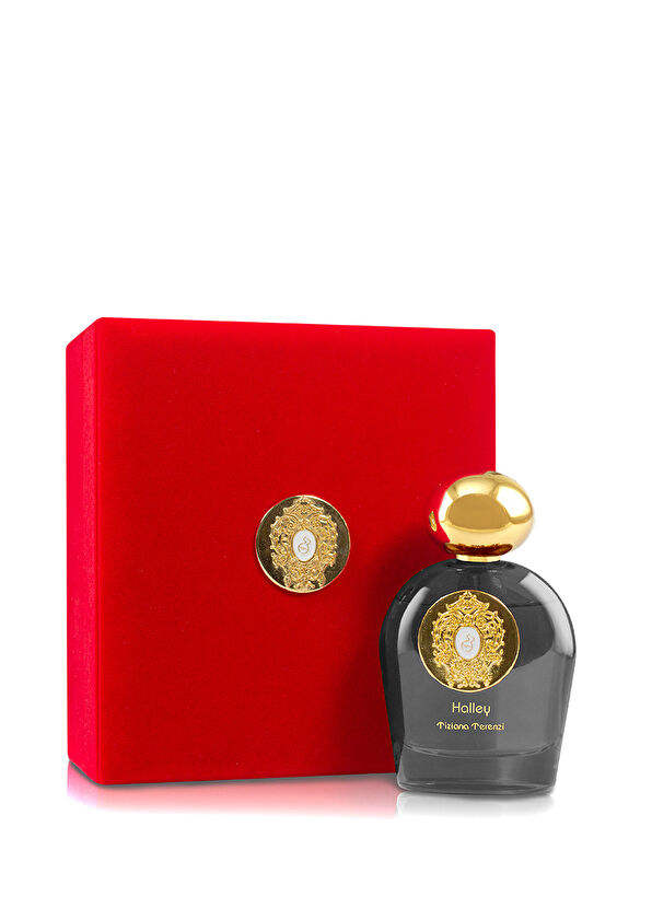 Tiziana Terenzi Comet Halley 100 ml Unisex Parfüm - 2