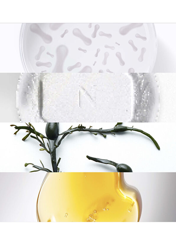 Noble Panacea The Brilliant Radiant Resilience Moisturizer 30 Do - 2