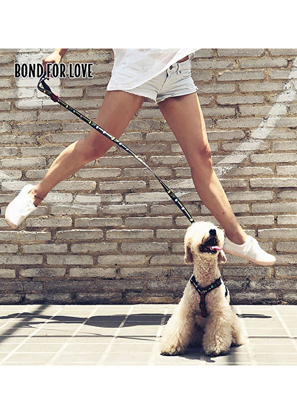 Spacedogs Ispet Pacman Spider Model Köpek Tasması - 3