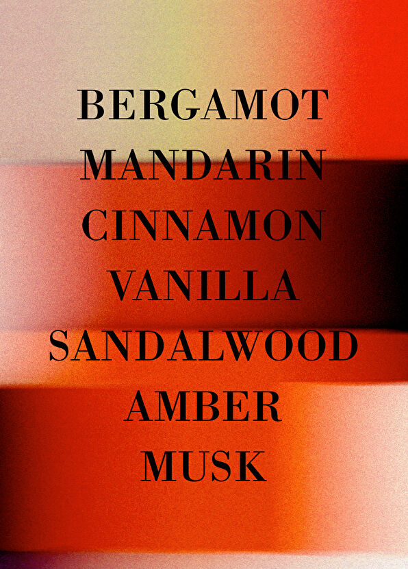 Editions de Parfums Frédéric Malle Musc Ravageur 100Ml - 3