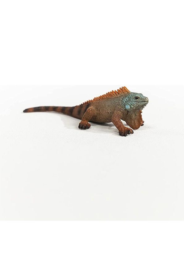 Schleich 14854 Iguana Animal Figure Toy - 2