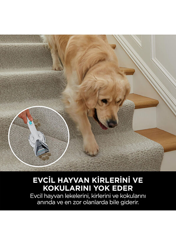 Shark StainStriker Pet Başlıklı Leke Çıkarma ve Koltuk Yıkama Makinesi - 4