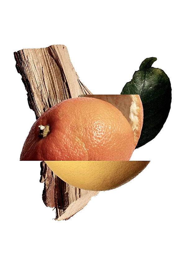 New Notes Akigala Mandarino Extrait De Perfume - 4