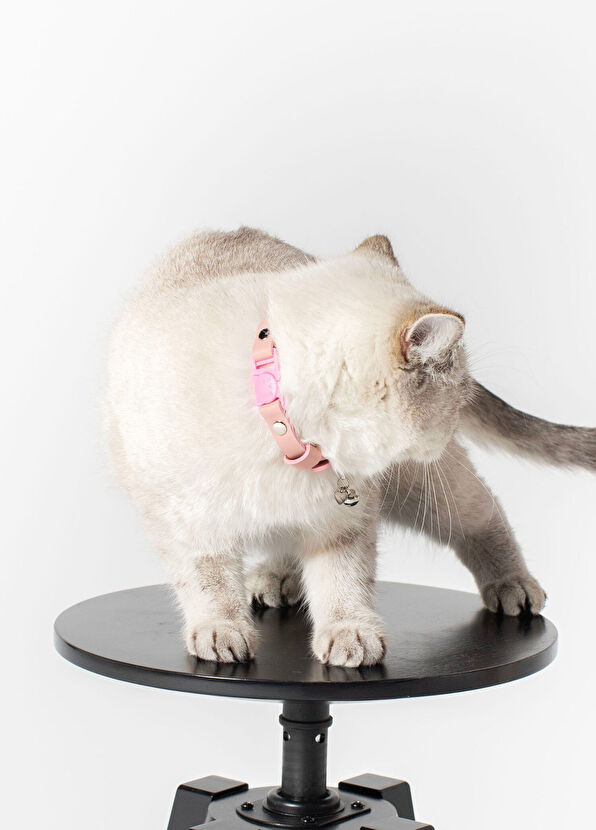 Zoe Pet Atelier Pink Leather Cat Collar - 3