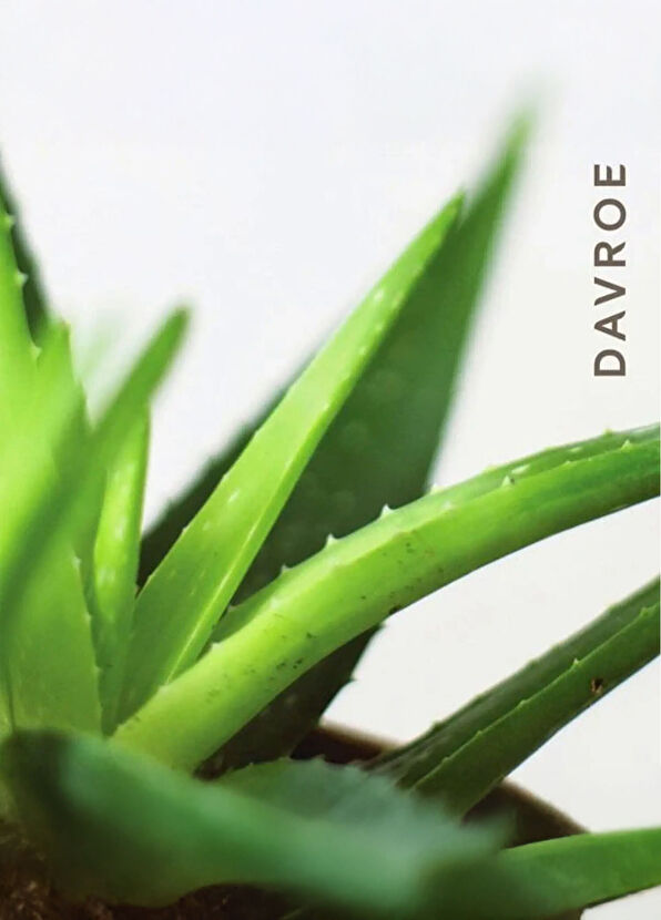 Davroe Davroe Scalp Remedy Anti-Dandruff Scalp Care Spray 125 ml - 2