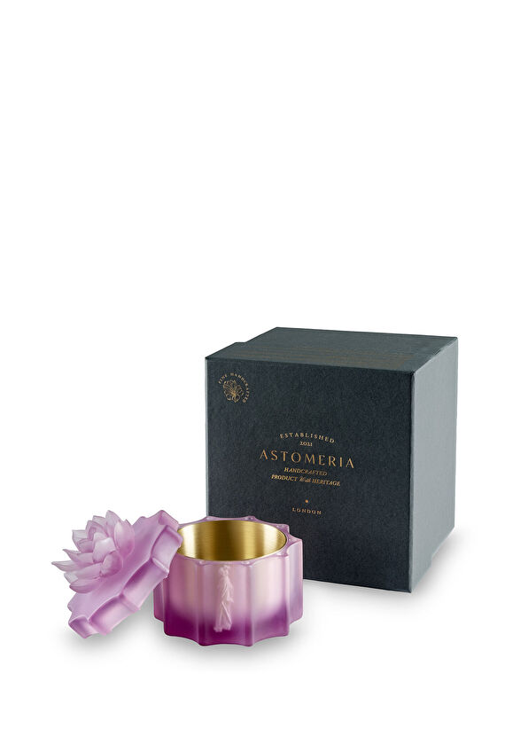 Astomeria The Chromatic Court Lilac Plexiglass Cookie Jar - 2