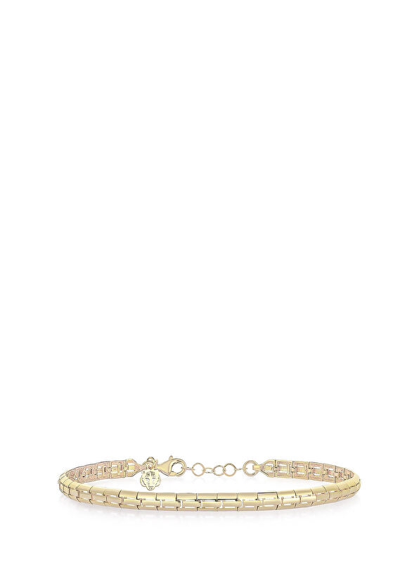 Kaplan Charm Delta 14 Ayar Altın Kaplama 925 Ayar Gümüş Erkek Bileklik - Görsel 2