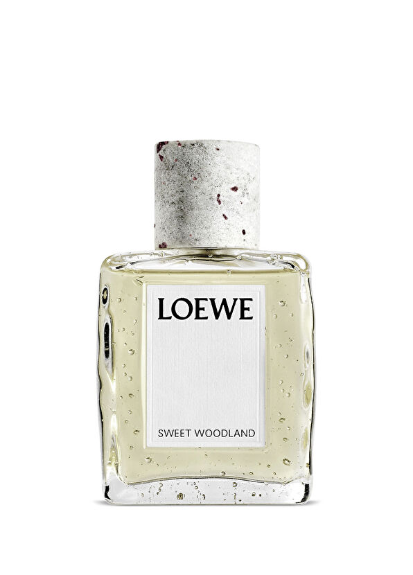 Loewe LOEWE Sweet Woodland EDP 100ml Unisex Perfume - 1