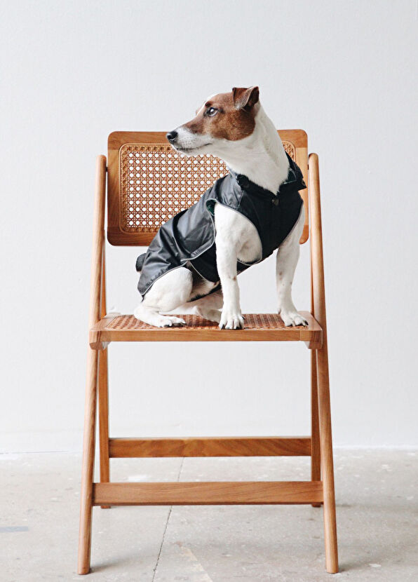 Mons Bons Black Waterproof Dog Raincoat - 2