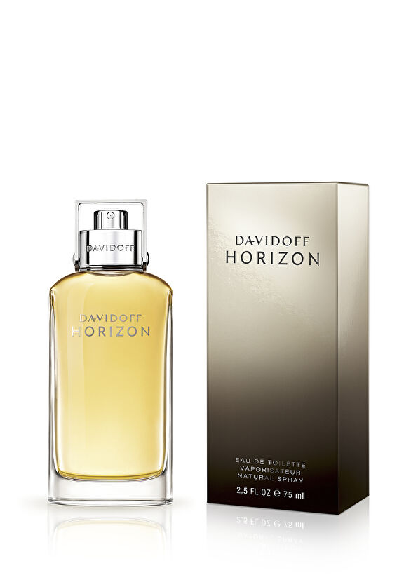 Davidoff Horizon EDT 75 ml Erkek Parfüm - 2