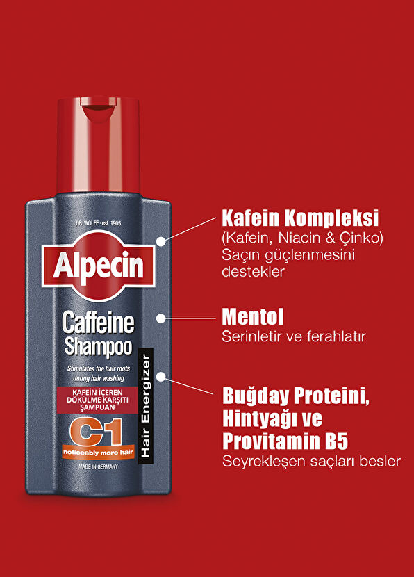 Alpecin C1 Kafeinli Dökülme Karşıtı 2'li Şampuan Seti 2 x 250 ml - 2