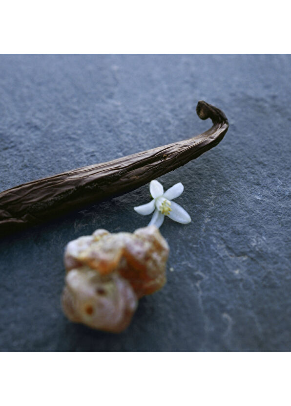 Chloe Nomade Nuit d'Egypte EDP 75 ml Kadın Parfüm - 4