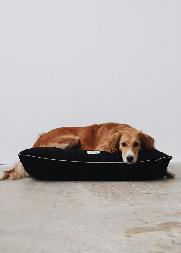 Mons Bons Velvet Stress Free Siyah Büyük Irk Köpek Yatağı - 2