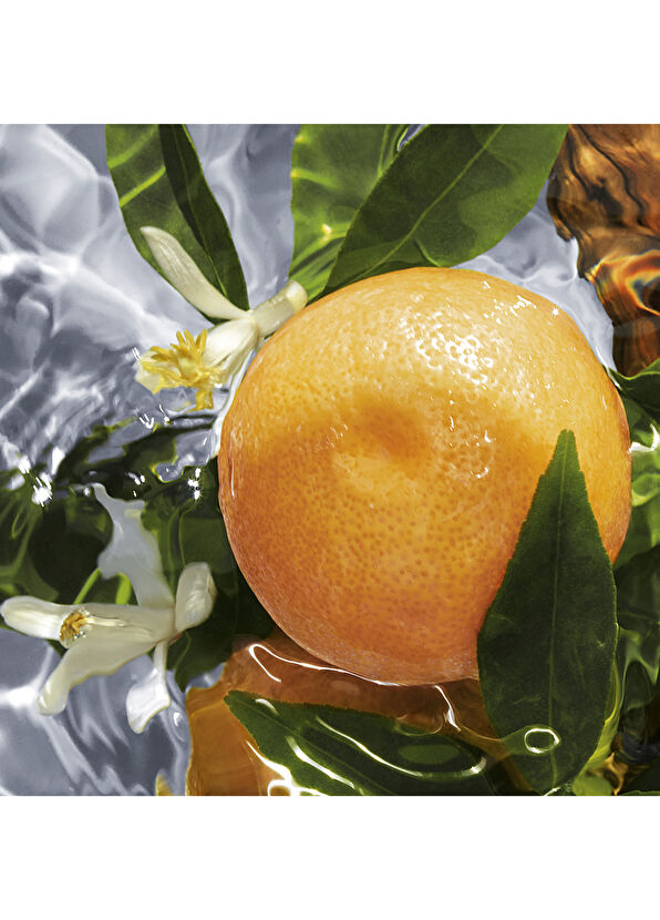 Guerlain Aqua Allegoria Pamplelune EDT 75 ml Kadın Parfüm - 2