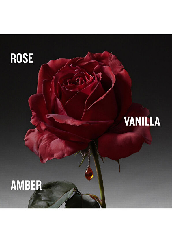Penhaligon's The Coveted Duchess Rose EDP Intense 75 ml - 3
