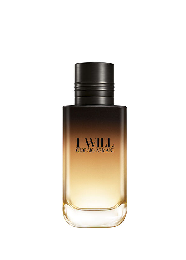 Giorgio Armani I Will EDP 100 ML - 1