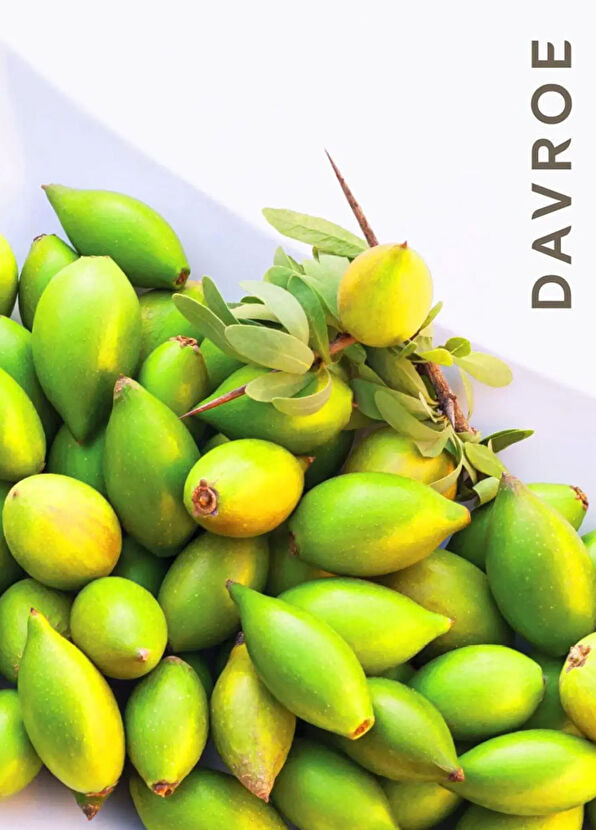 Davroe Argan Oil Instant Treatment Repair Argan Oil 95 ml - 4