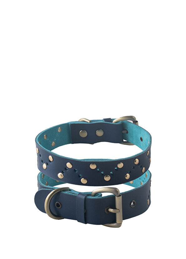 Zeynep Birinci Lacivert Deri Köpek Boyun Tasması - 1