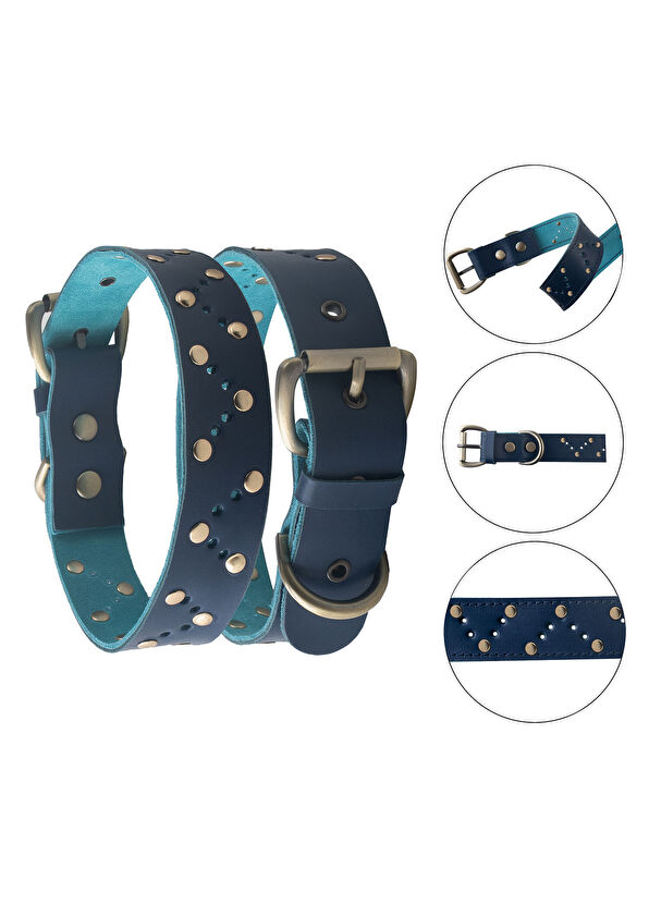 Zeynep Birinci Lacivert Deri Köpek Boyun Tasması - 2