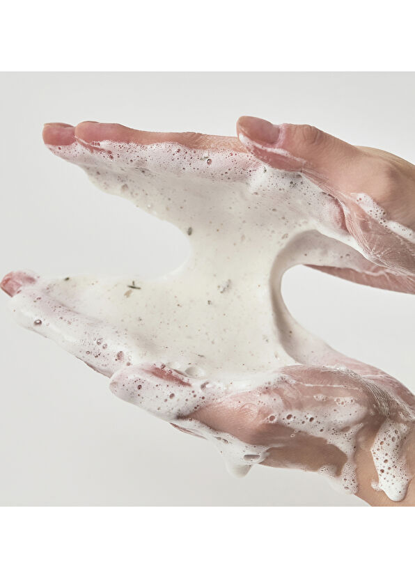 Anua Heartleaf Geniş Gözenek Karşıtı Güçlü Arındırıcı Köpük Temizleyici 150 ml - 2