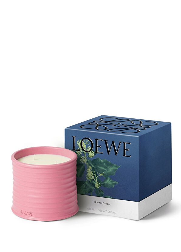 Loewe Ivy Medium 610 gr Mum - 2