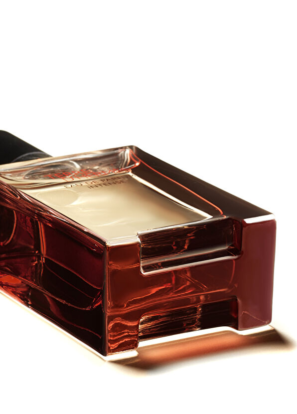 Hermès Terre d’Hermès Eau de Parfum Intense 50 ml - 4