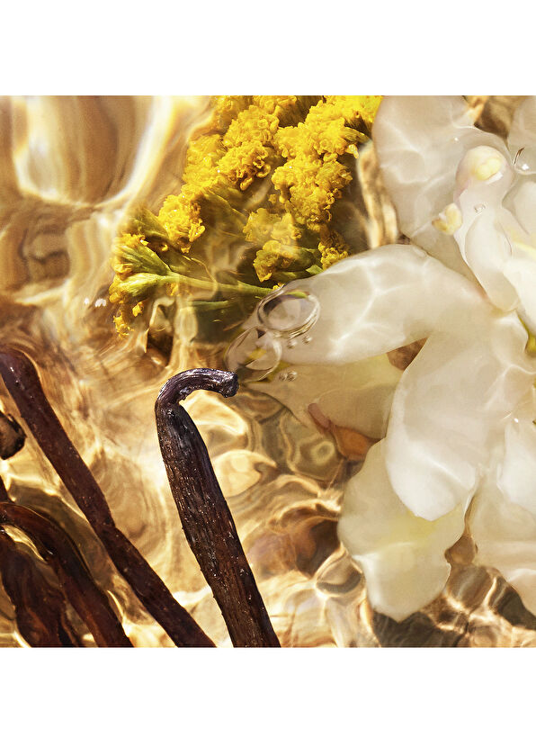 Guerlain Aqua Allegoria Woody Rosa Palissandro - 4