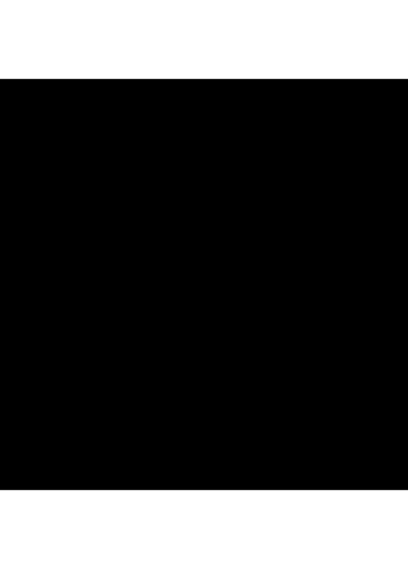 Naj Oleari Stay Glide Black Pulse 12 Eyeliner - 4