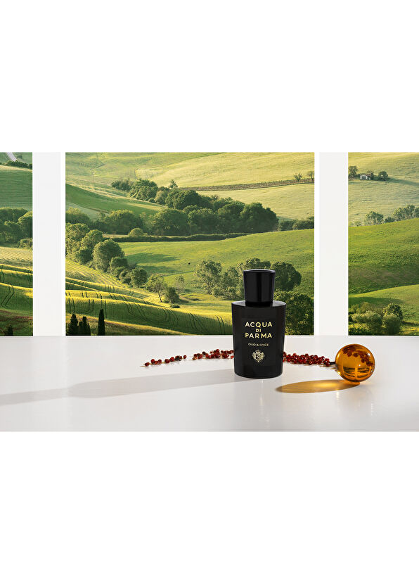 Acqua di Parma Sıgrnature Oud&Spıce Edp 100 ml - 4
