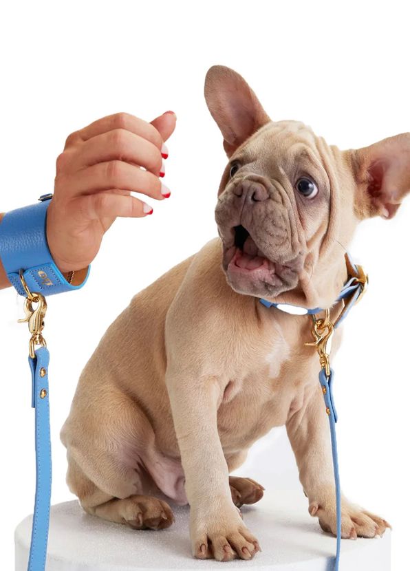 Moshiqa Tintin Blue Leather Dog Walking Strap - 2