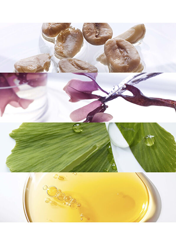 Noble Panacea The Brilliant Vibrant Eye Infusion 30 Dose - 3