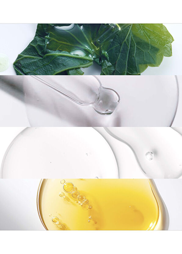 Noble Panacea The Brilliant Overnight Recharge Cream Refill - 3