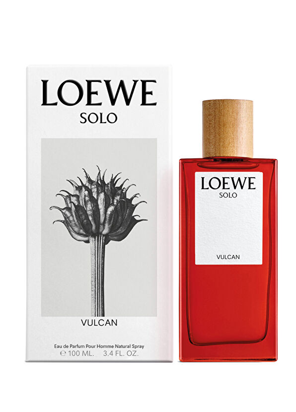 Loewe Loewe Solo Vulcan Edp 100 ml - 2